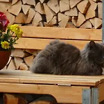 Tiszafa Vendeghaz Gasthuis Szentgál