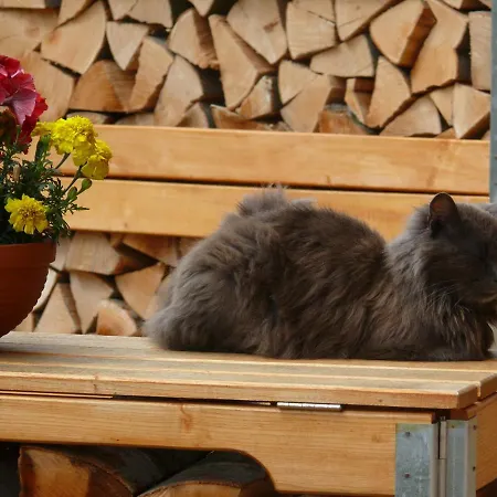 Tiszafa Vendeghaz 招待所 Szentgál