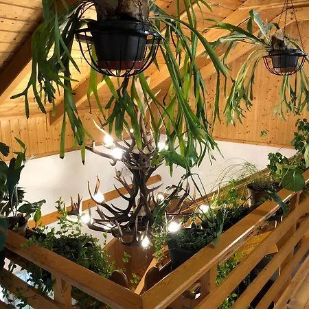 招待所 Tiszafa Vendeghaz 3*