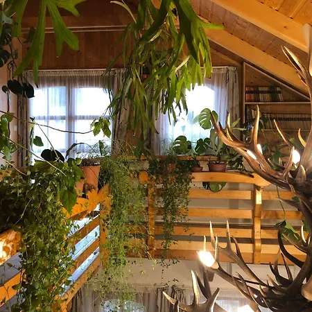 Tiszafa Vendeghaz 招待所