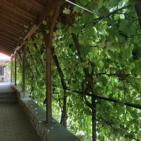 Tiszafa Vendeghaz Szentgál