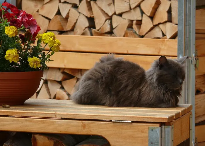 Tiszafa Vendeghaz בית הארחה Szentgál