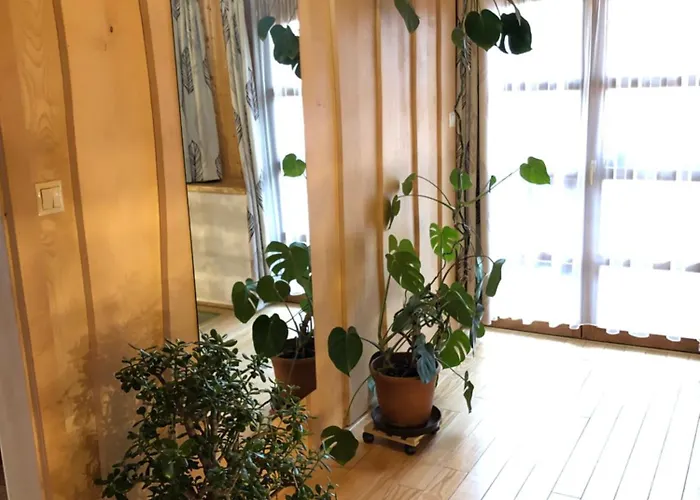 Tiszafa Vendeghaz בית הארחה