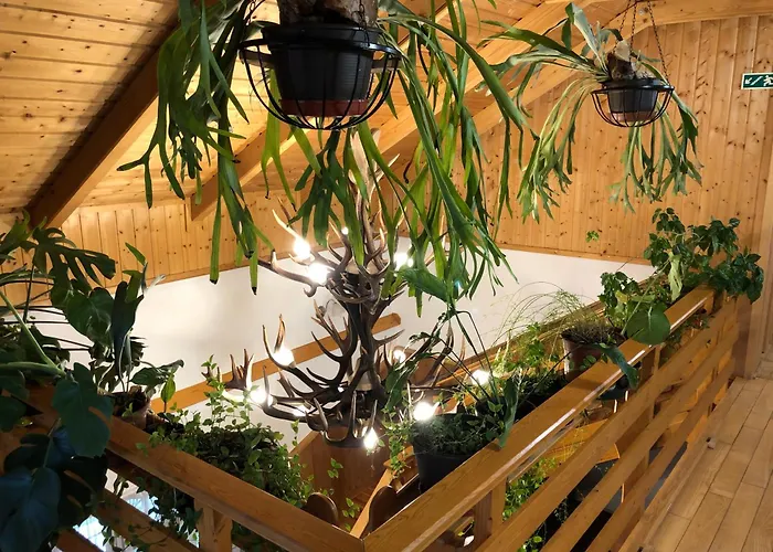 בית הארחה Tiszafa Vendeghaz 3*