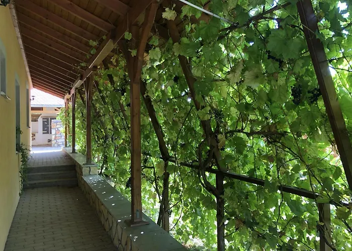 Tiszafa Vendeghaz Szentgál