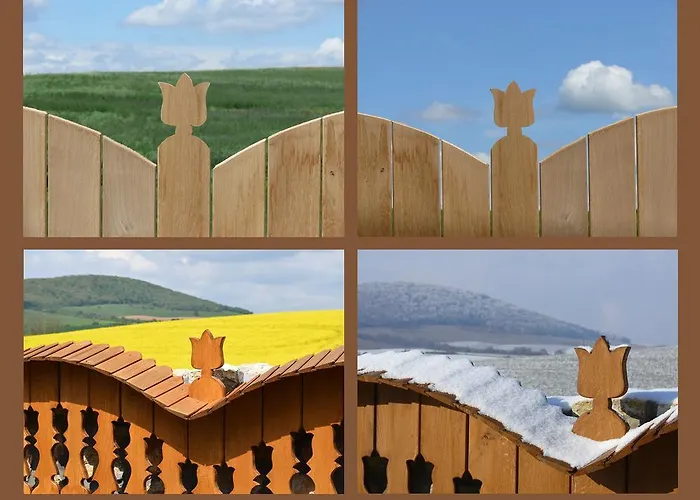 Tiszafa Vendeghaz בית הארחה